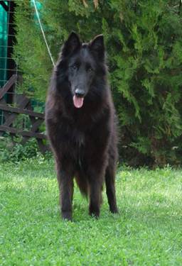 43952956_2438592152825444_4085292210994544640_n