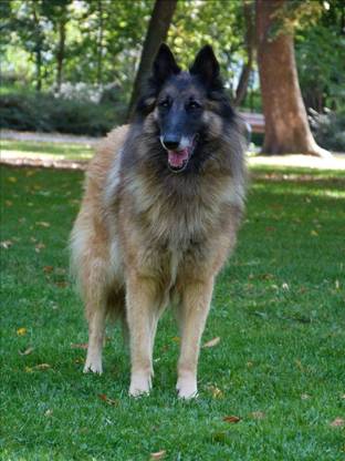 41895208_2389921391025854_8671455712682967040_n