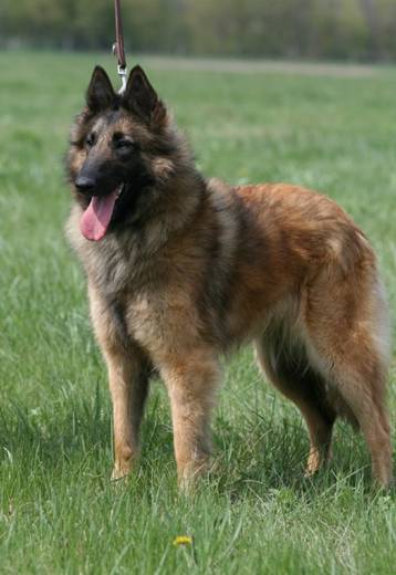 26947_113991268618889_100000240494051_210851_2314217_n