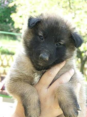 29238_119418194742863_100000240494051_230941_7872097_n