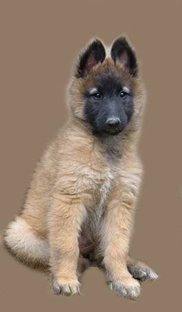 31638_125750580776291_100000240494051_257915_2760383_n