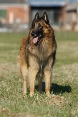 485837_2818522782827_1251625835_32083091_1783394016_n