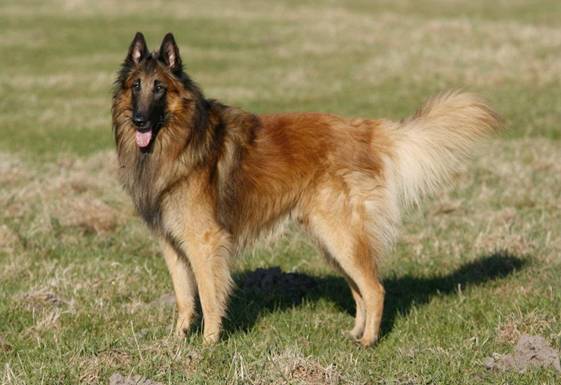 305541_2818522342816_1251625835_32083089_2006176050_n