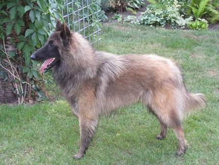 62153_158901754127840_100000240494051_449988_7549412_n