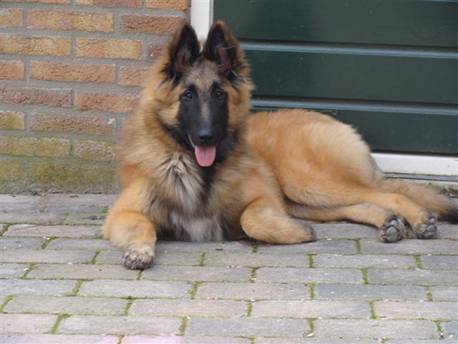 Lex%2028052009%20005